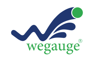 WeGauge Logo