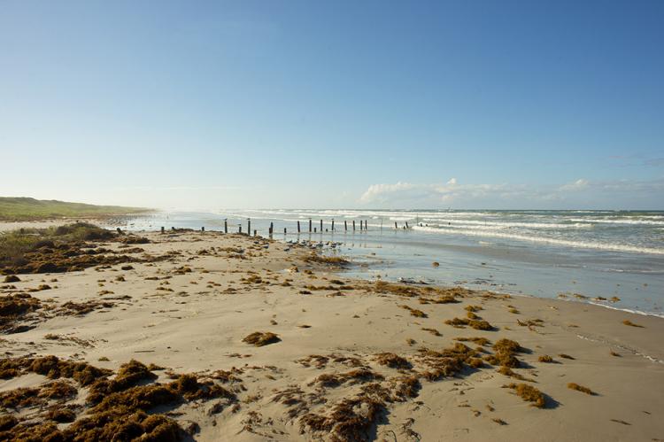 The Gulf Coast of Texas where the EPIC pipeline leads to (Sherry Yates Young / Shutterstock). 