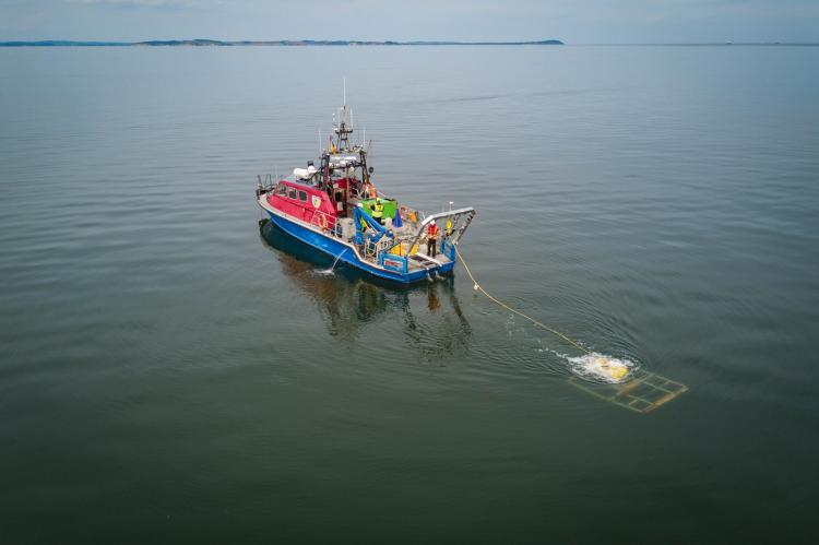 The diving robot is operated by the ship "Trio" while examining the seabed near Lubmin in Germany (Copyright by Nord Stream 2)