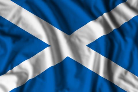 Flag of Scotland (copyright by Shutterstock/Dmytro Balkhovitin)