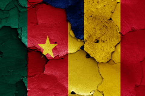 Flags of Cameroon and Chad painted on cracked wall (© Shutterstock/danielo)