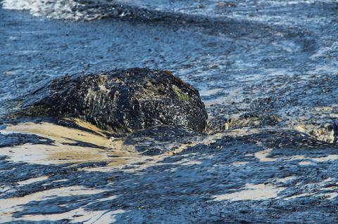 Refugio Oil Pipeline Spill in Santa Barbara, California (© 2015 Zackmann08, CC BY-SA 3.0, via Wikimedia Commons) 