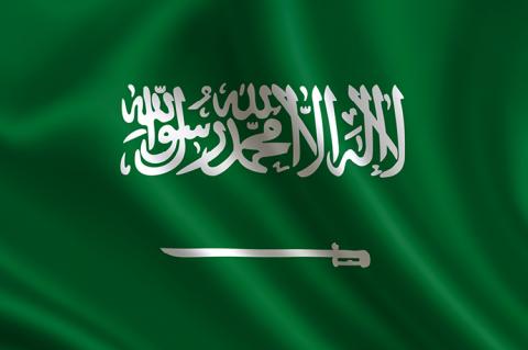 Flag of Saudi Arabia (copyright by Shutterstock/adidas4747)