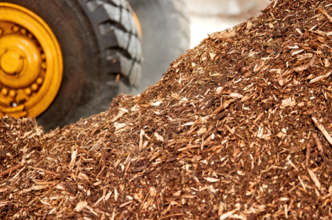 Biomass woodchips to be used for energy production (© Shutterstock/Martin Mecnarowski)