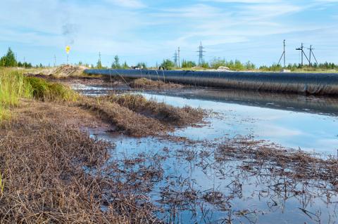 Spilled oil around the oil pipeline (copyright by Shutterstock / Leonid Ikan) 