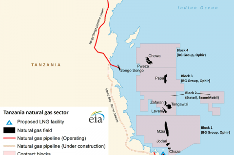 New 535 km, 24 - 36 Inch Gas Pipeline Commissioned in Tanzania (© 2013 U.S. EIA, IHS EDIN)