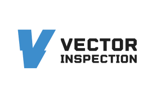 Vector Inspection Logo